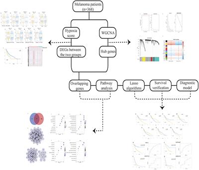 Identification of Signatures of Prognosis Prediction for Melanoma Using a Hypoxia Score